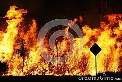 Bush fire Stock Photo