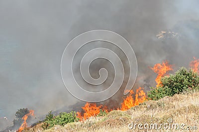 Bush fire Stock Photo