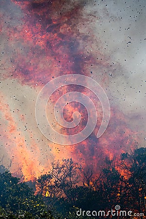 Bush fire Stock Photo