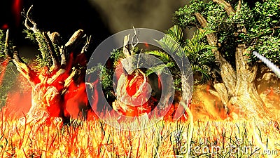 Bush fire Stock Photo