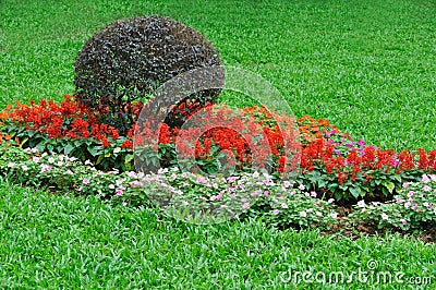 Bush and flower cluster in garden Stock Photo