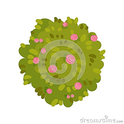 Bush in the form of a circle with flowers. Vector illustration on white background. Vector Illustration