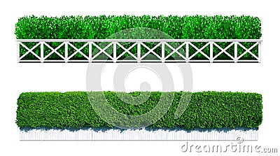 Bush in the form of a green hedge Vector Illustration