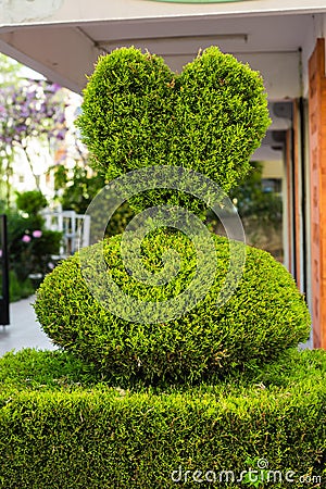 Bush in the form of heart Stock Photo