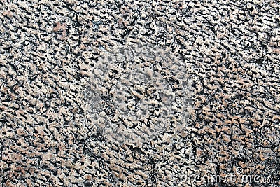 Bush-hammered white limestone rough surface Stock Photo