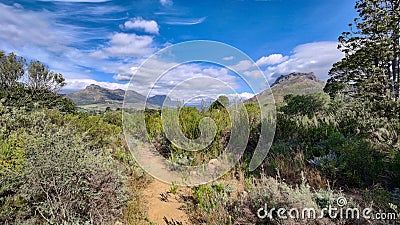 Bush and mountains landscape of Jan Marais Nature Reserve landscape in Stellenbosch, Western cape , South Africa. Stock Photo