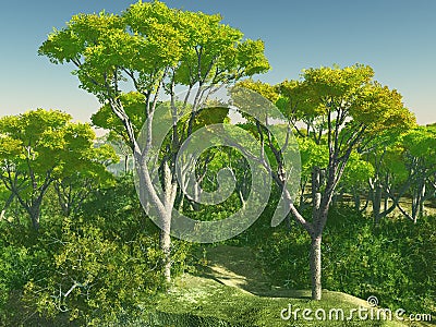 Bush trees in Australia 3d rendering Stock Photo