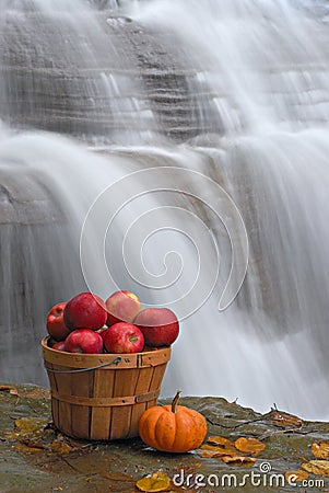 Bushel of Apples Stock Photo