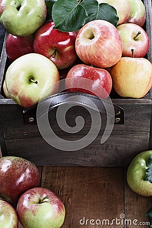 Bushel of Apples Stock Photo