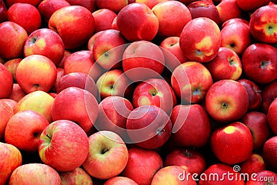 Bushel of Red Apples Stock Photo