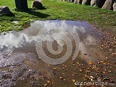 Bushes and clouds reflected in a puddle Stock Photo