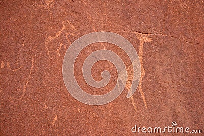 Bushmen Rock Engravings. Twyfelfontein Stock Photo