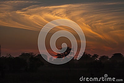 Bushveld sunset with interesting cloud formations. 3612 Stock Photo