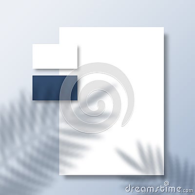 Business Cards and Letterhead on a Surface Background with a Tropical Fern Palm Leaves Shadow Overlay. Realistic Vector Vector Illustration