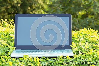 Business Computer laptop notebook white blank screen in nature g Stock Photo