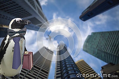 Business concept of a funny penguin wearing a tie and suitcase standing under some big sky scraper building and airplane flying by Stock Photo