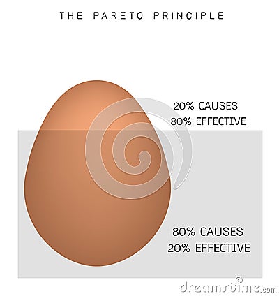 Pareto Principle or Law of The Vital Few 80/20 Rule Vector Illustration