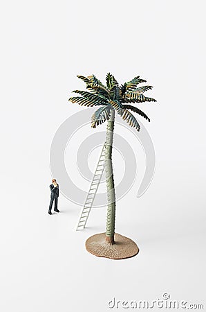 Business figurine, ladder and palm tree Stock Photo