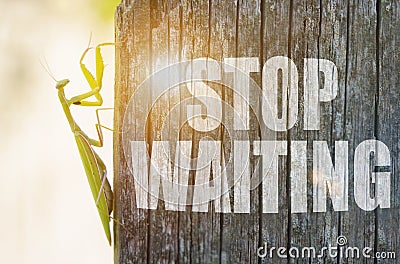 A praying mantis is crawling along the old plank. It says on the board - STOP WAITING Stock Photo