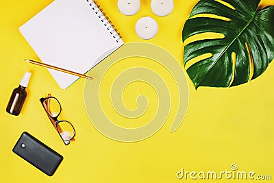 Business flatlay with mobile phone, glasses, philodendron leaf and other accessories Stock Photo