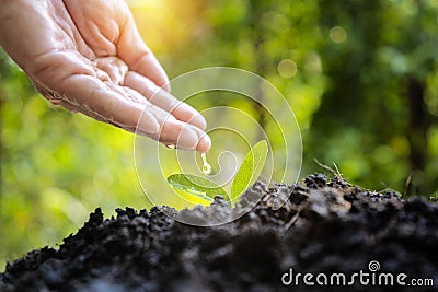 Business Growth concept Stock Photo