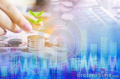 business growth concept with hand holding coin with growing tree, calculator,financial graph Stock Photo
