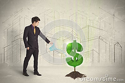 Business man poring water on dollar tree sign on city background Stock Photo