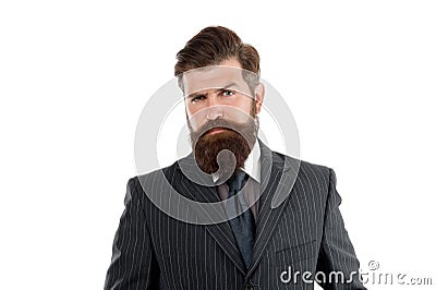 Business man wear suit. Serious bearded man. Boss or director. Handsome hipster white background. Menswear concept Stock Photo