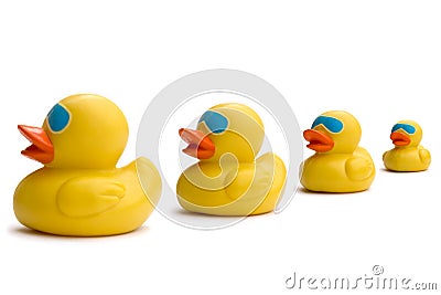 Business sayings, get our ducks in a row Stock Photo