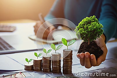 business woman hand holding tree with plant growing on coins. concept saving money and earth Stock Photo