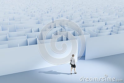 a business woman at the maze Cartoon Illustration