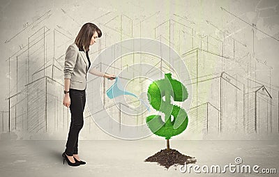 Business woman poring water on dollar tree sign on city background Stock Photo