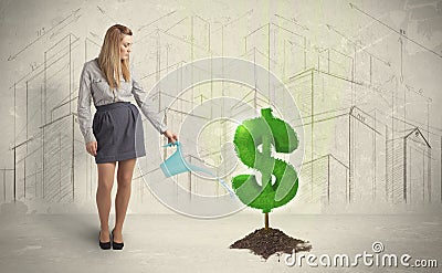 Business woman poring water on dollar tree sign on city background Stock Photo