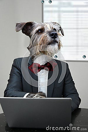 Businessdog in his office in sales conversation Stock Photo