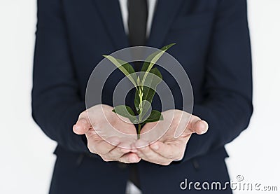 Businessman Adult Portrait Occupation Concept Stock Photo