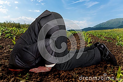 Businessman burying his head in the ground Stock Photo