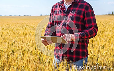 Businessman is on a field of ripe wheat and is holding a Tablet computer Stock Photo