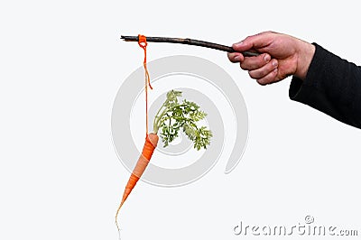 Businessman hand holding Carrot on a stick isolated on white bac Stock Photo