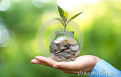 Businessman hand holding coin money cover growing plant. Plant growing out of coins with filter effect, money growing and small Stock Photo