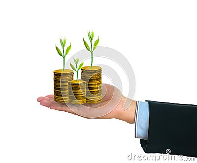 Businessman holding fresh green small tree on golden coins Stock Photo