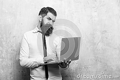 Businessman with long beard work on laptop Stock Photo