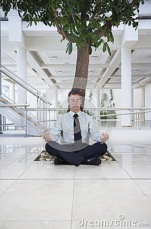 Businessman Meditating Under Tree Stock Photo