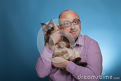 A businessman in a piked shirt holds a birman cat in the hand Stock Photo