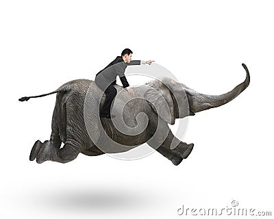 Businessman with pointing finger gesture riding on elephant Stock Photo