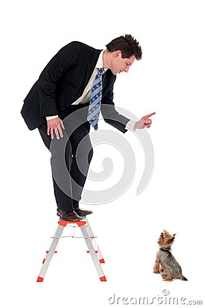 Businessman on top of a ladder pointing at dog Stock Photo