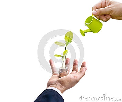 Businessman with tree and coins on hand and hand watering on top tree on white background, business concept Stock Photo