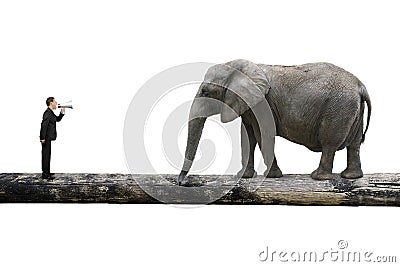 Businessman using speaker yelling at elephant on single wooden b Stock Photo