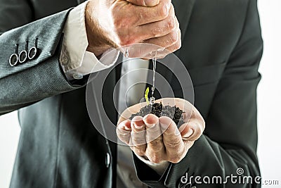 Businessman watering and nurturing a green sprout growing from a Stock Photo