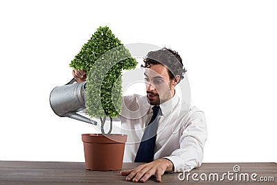 Businessman that watering a plant with a shape of arrow. Concept of growing of company economy . Stock Photo