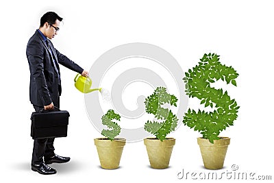 Businessperson nurture the money trees Stock Photo